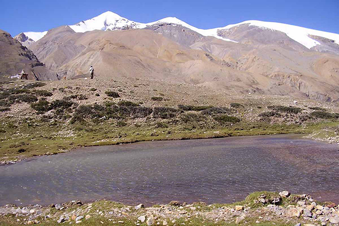 Image Description